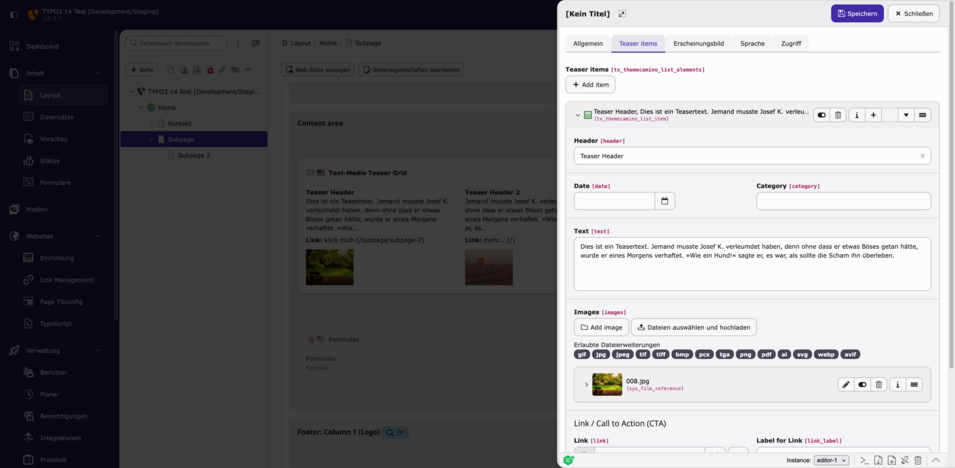 Screenshot einer Benutzeroberfläche mit einem Teaser-Grid, das zwei Texte und Bildoptionen zeigt, sowie Navigationsmenüs auf der linken Seite.